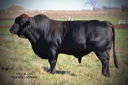 WPR'S 0804